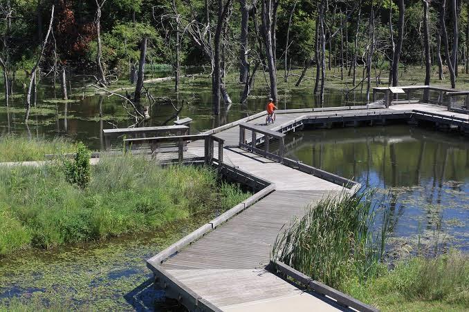 8982 Ginger Street Lenexa, KS 66227 - Photo 22 of 23