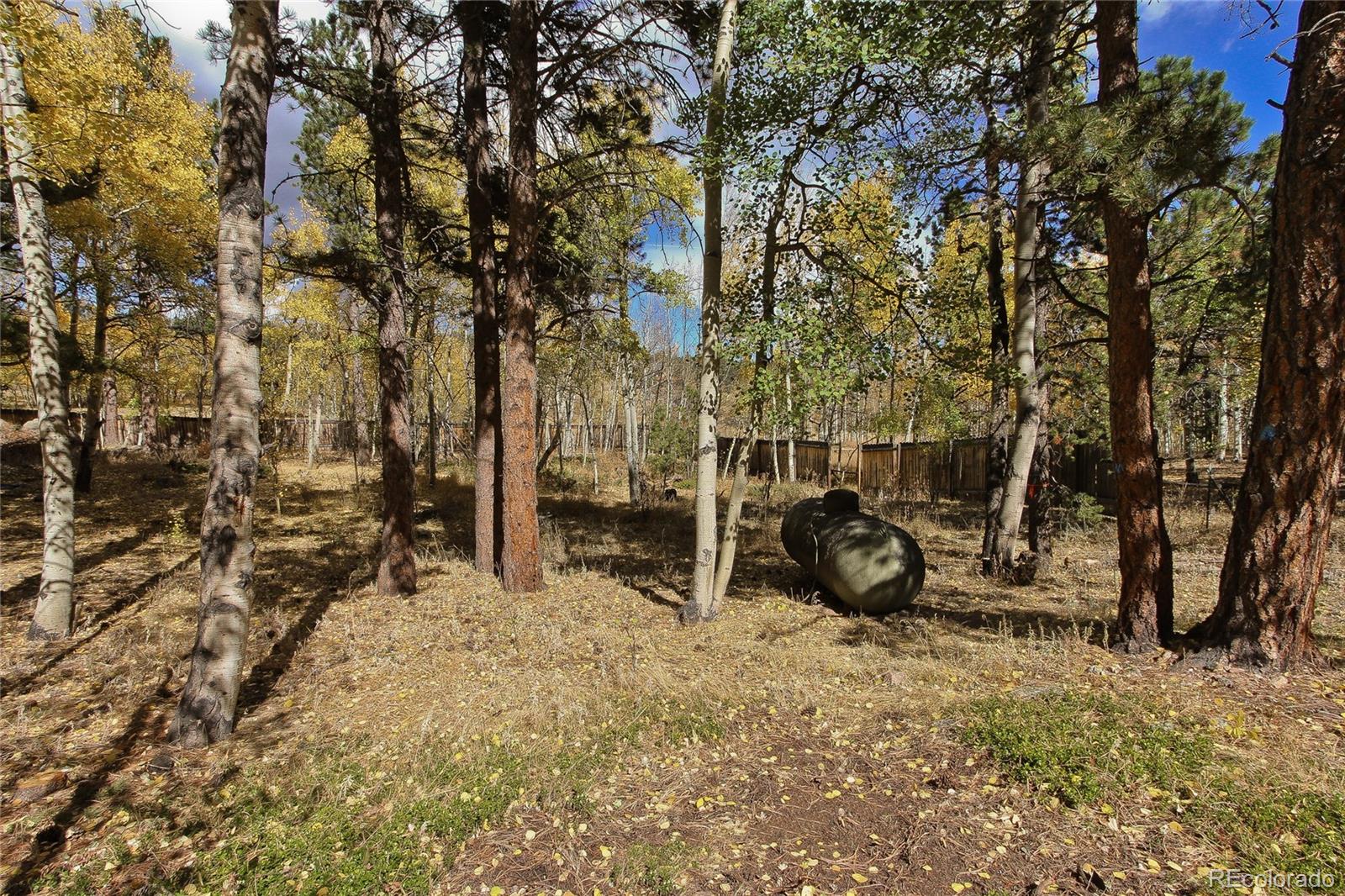 122 Ridge Road Ward, CO 80481 - Photo 33 of 35