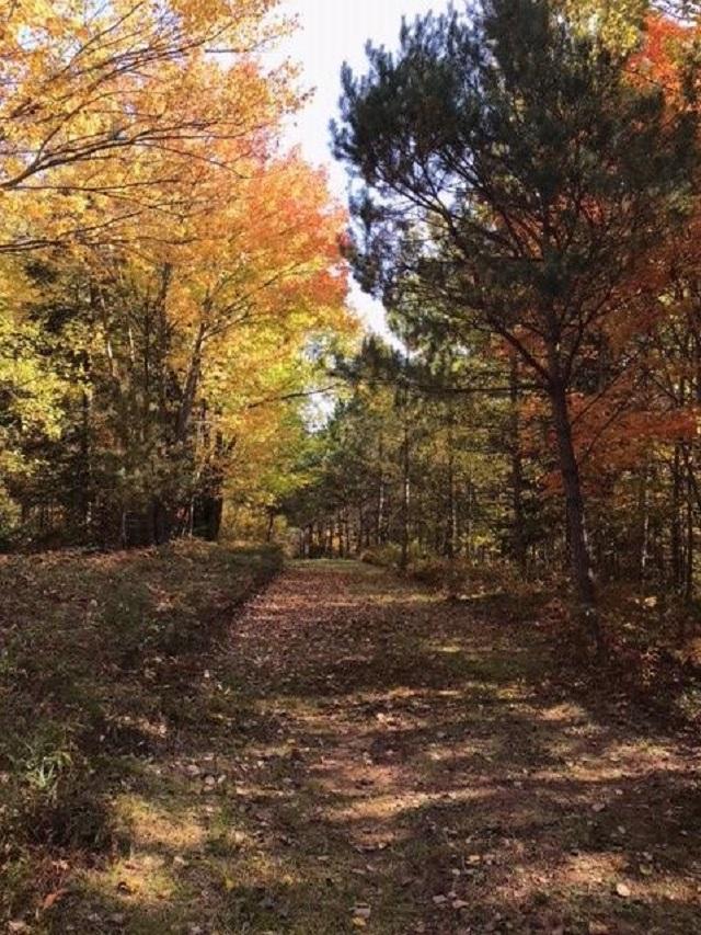 102-acre Spring Drive Rhinelander, WI 54501 - Photo 5 of 11 Gallery Image 5
