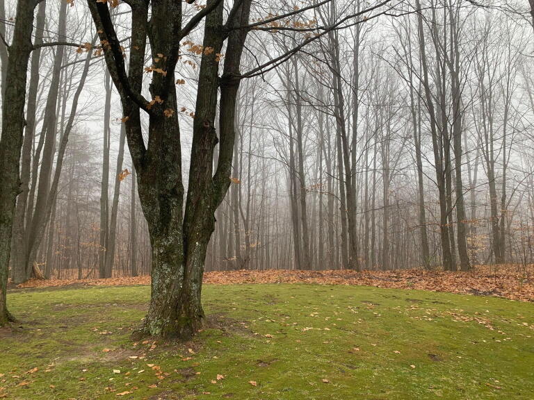1020 Snake Branch Road Mio, MI 48647 - Photo 34 of 35 Gallery Image 34