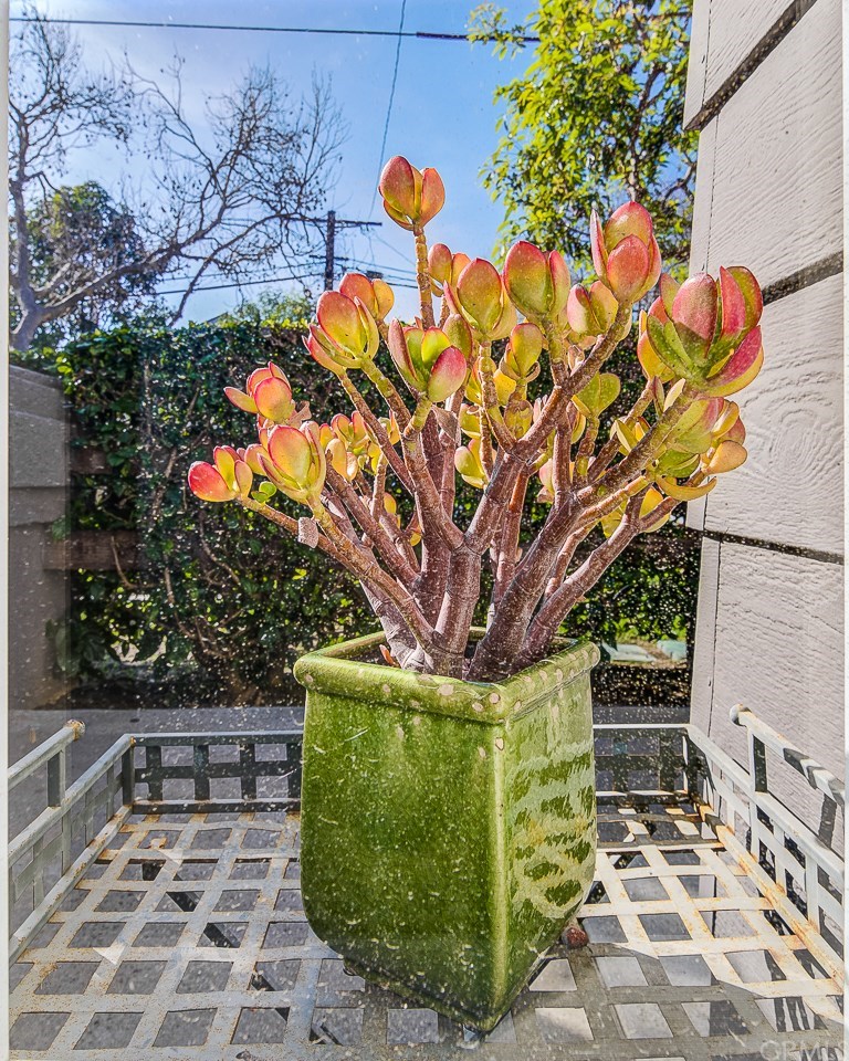 168 23rd Street, Unit D Costa Mesa, CA 92627 - Photo 31 of 41