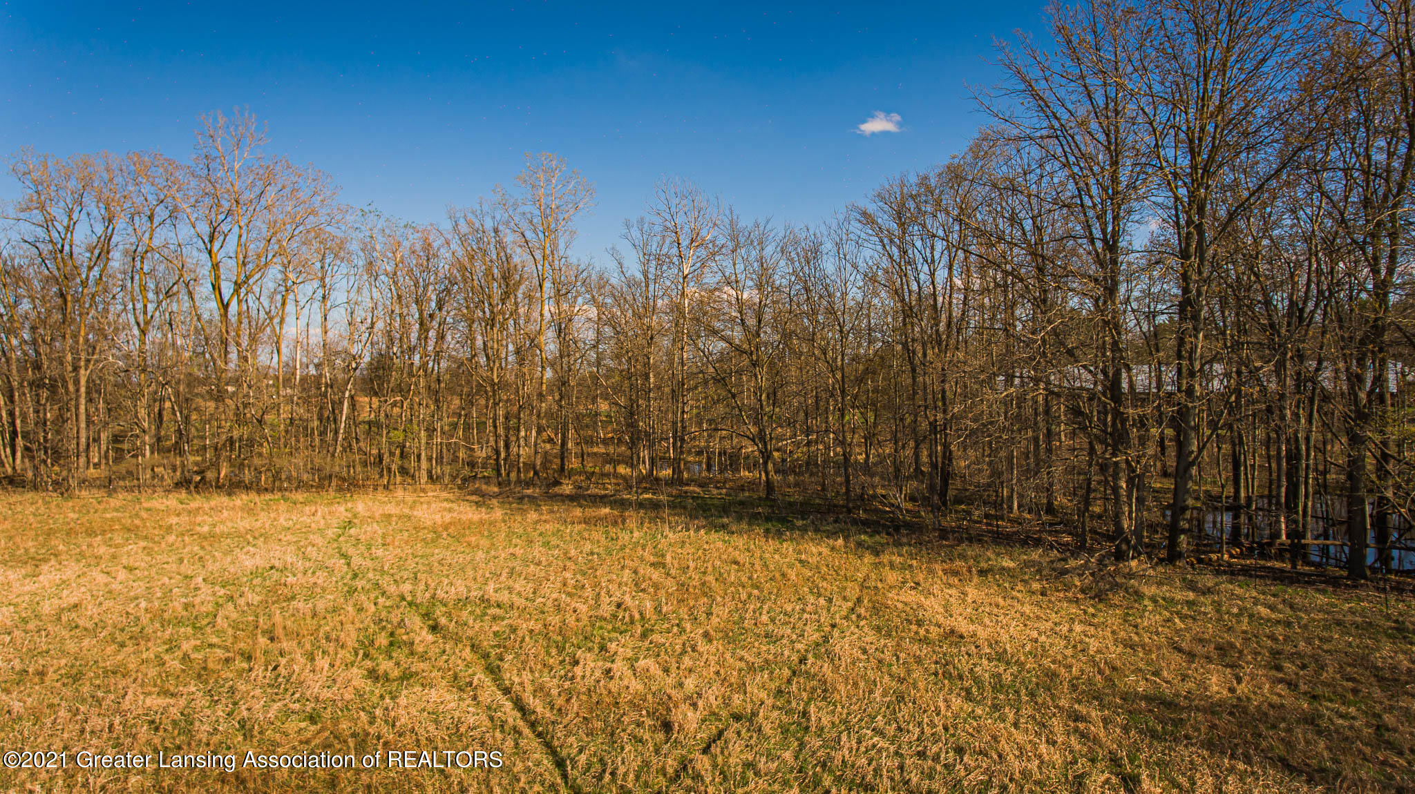 Vl South Corey Road Perry, MI 48872 - Photo 13 of 16 1001-37_Aerial13