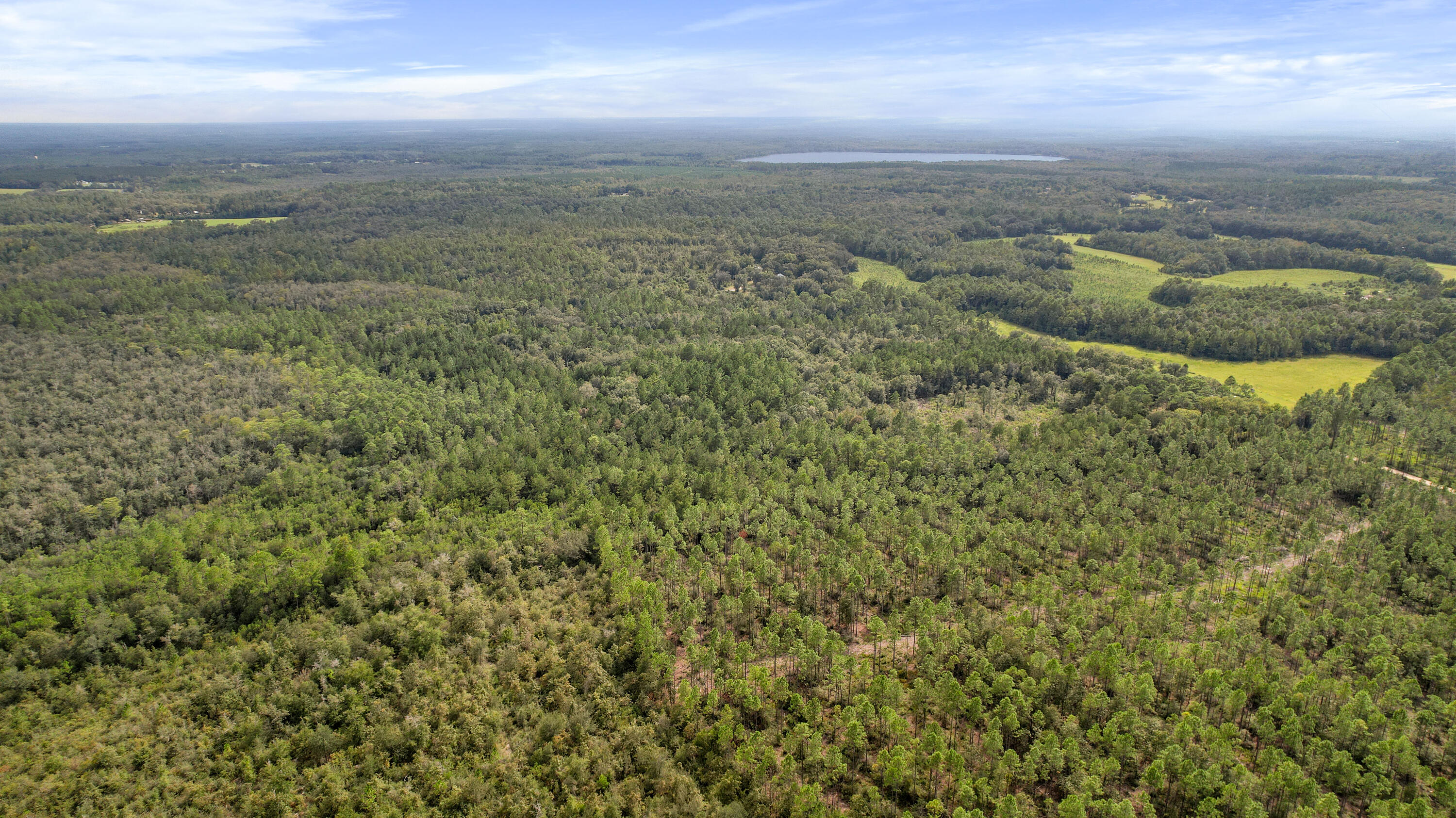 1679 Lawrence Road, Unit 2 PARCELS Bonifay, FL 32425 - Photo 5 of 8 Aerial