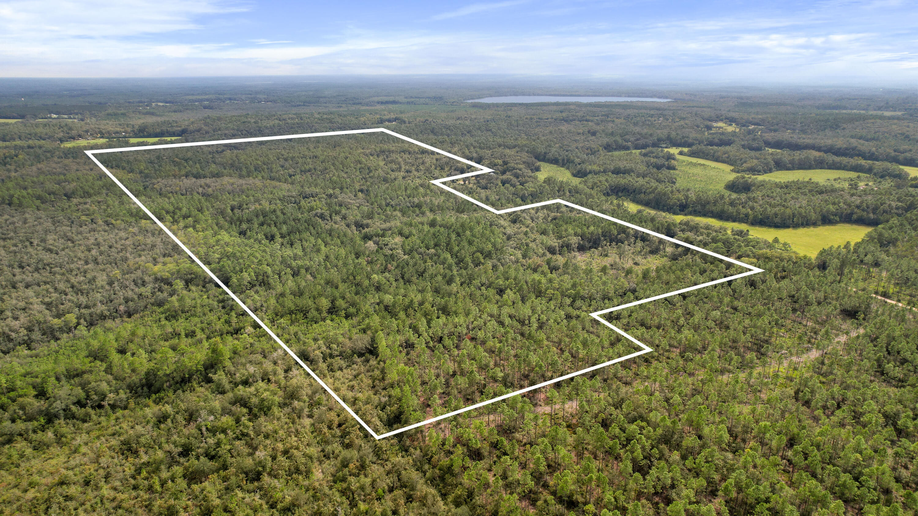 1679 Lawrence Road, Unit 2 PARCELS Bonifay, FL 32425 - Photo 6 of 8 Aerial