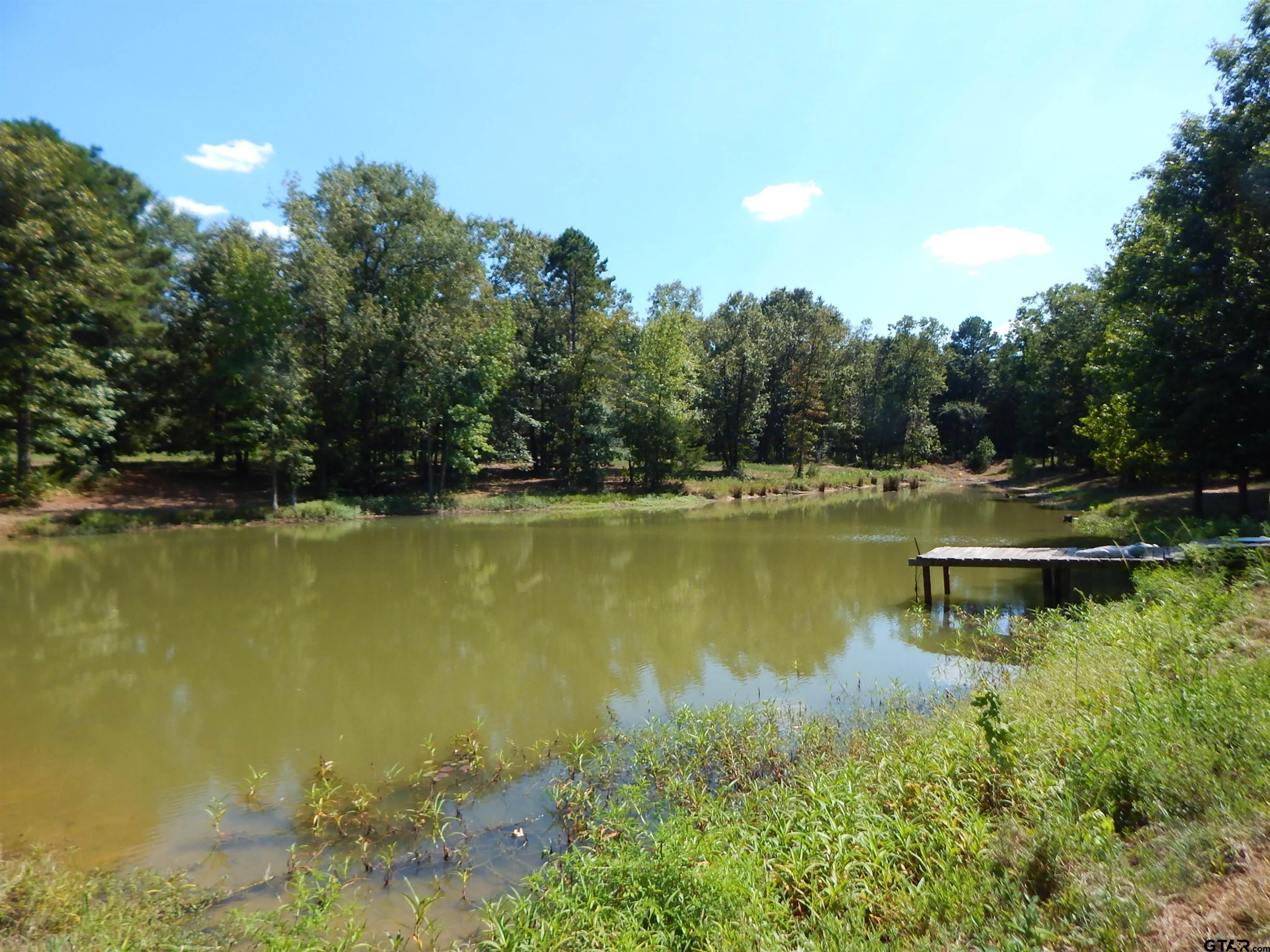 2814 Hare Road Gilmer, TX 75644 - Photo 14 of 20 Gallery Image 14