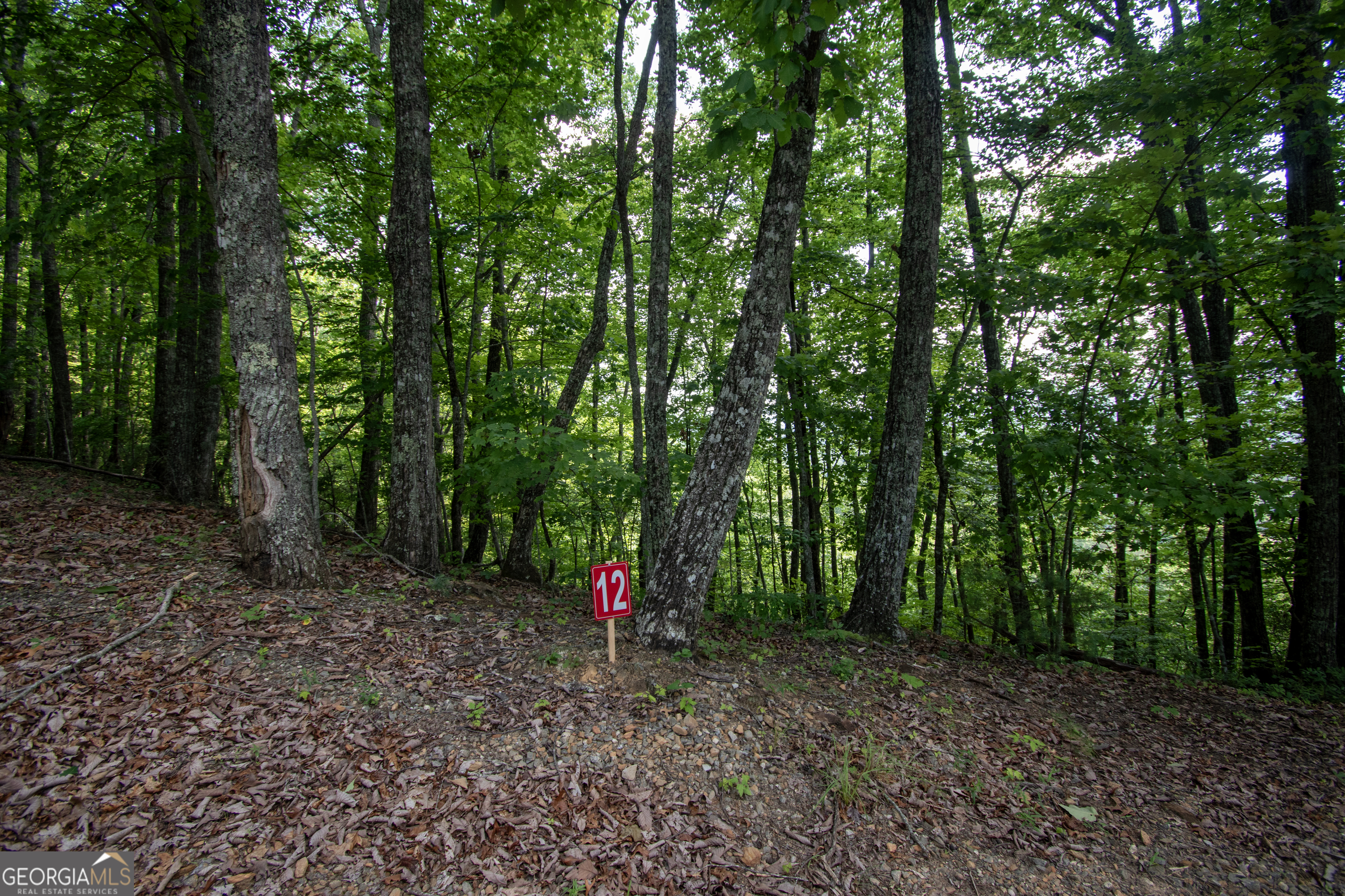 850 Bluff Road Marble, NC 28905 - Photo 20 of 31 Gallery Image 20