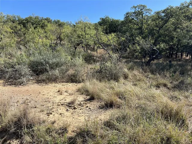 a view of a dry yard with trees