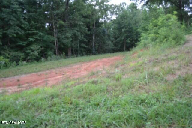 2390 Pea Ridge Fire Tower Road Celina, TN 38551 - Photo 6 of 35 DSC_0006