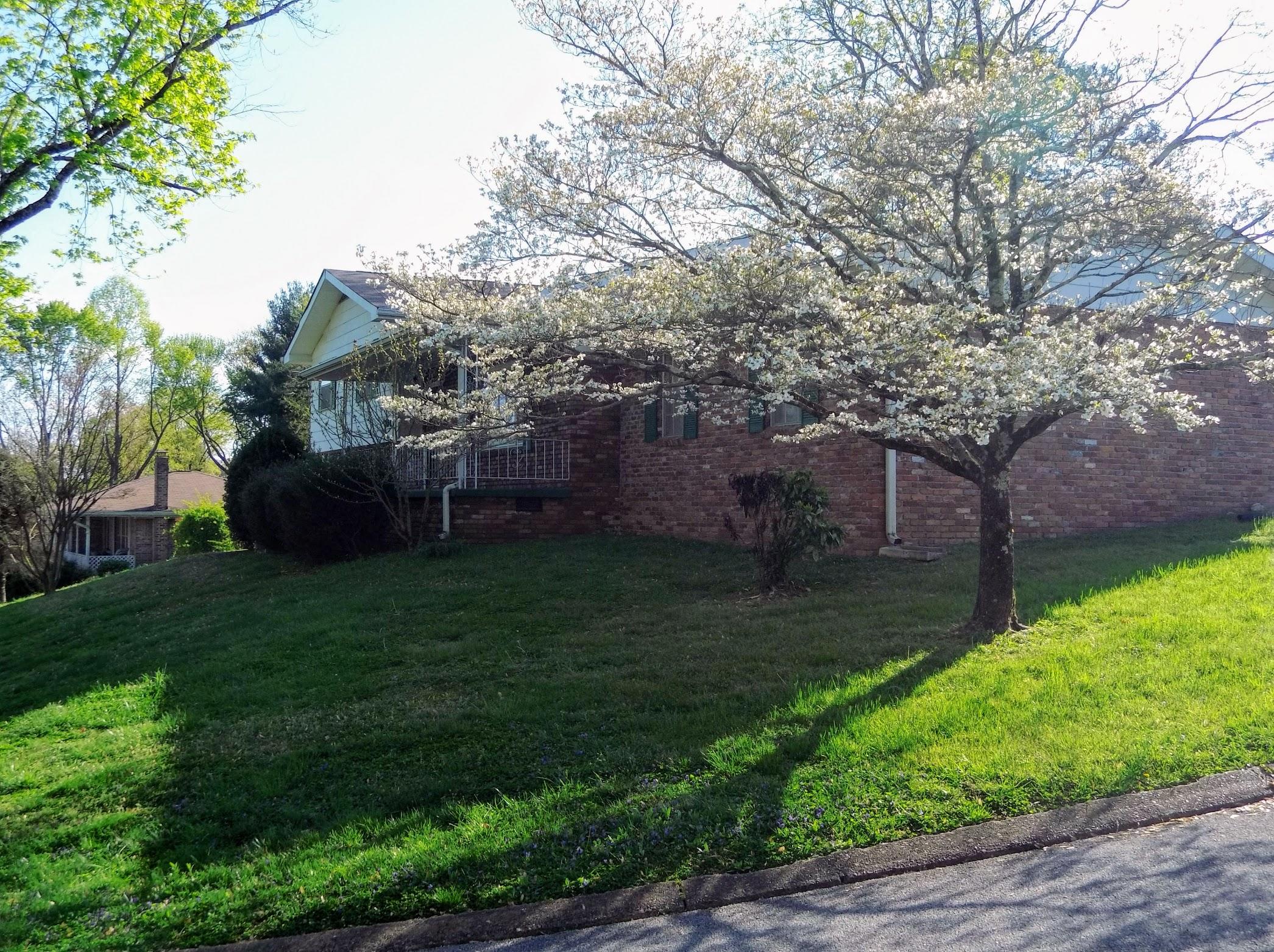 2347 Marco Circle Chattanooga, TN 37421 - Photo 3 of 40 2347MarcoCircle2