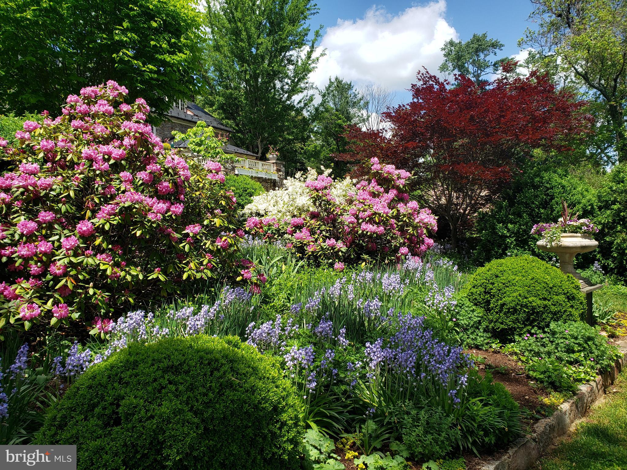22876 Foxcroft Road Middleburg, VA 20117 - Photo 15 of 41 Gallery Image 15