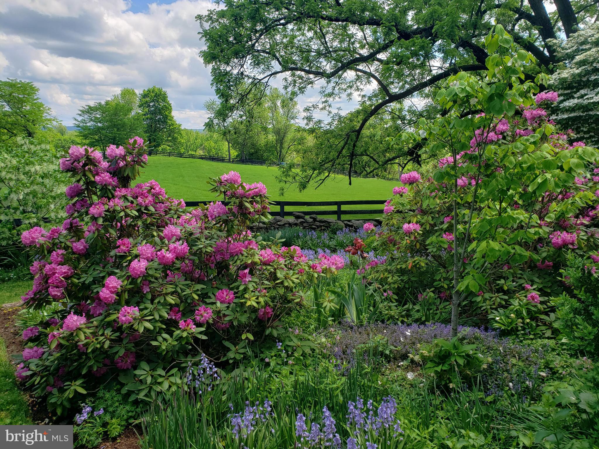 22876 Foxcroft Road Middleburg, VA 20117 - Photo 23 of 41 Gallery Image 23