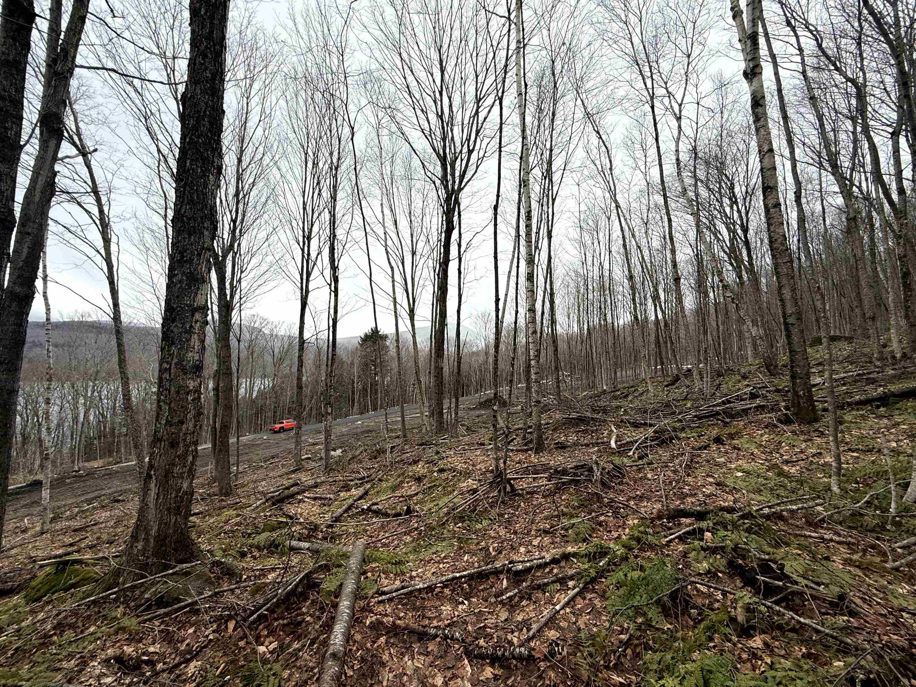 - Foliage Lane Orleans, VT 05860 - Photo 11 of 30