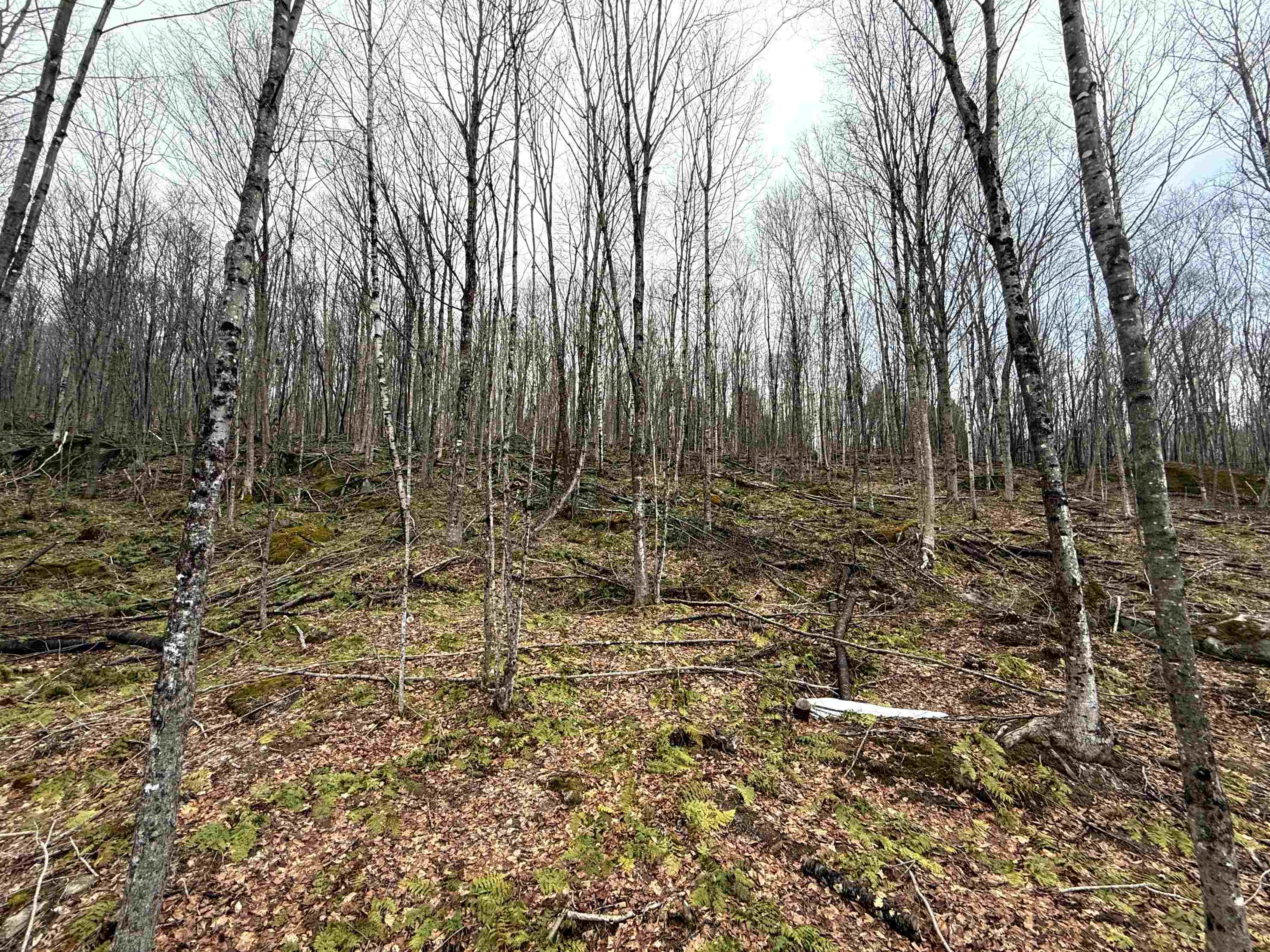 - Foliage Lane Orleans, VT 05860 - Photo 18 of 30