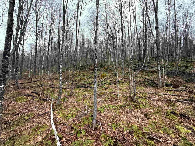 $249,900 | - Foliage Lane, Orleans, VT 05860