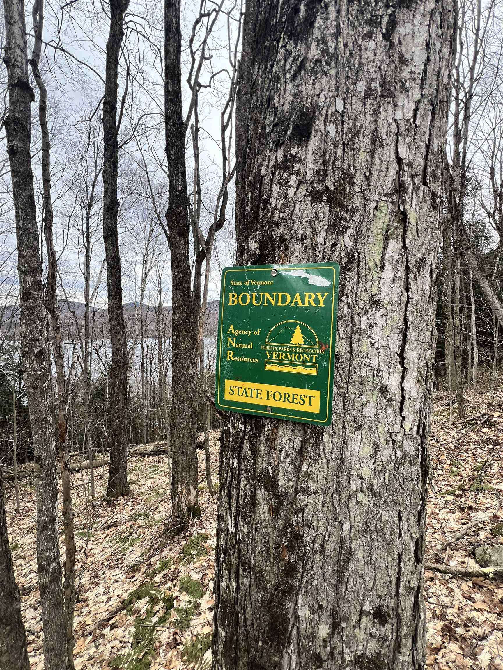 - Foliage Lane Orleans, VT 05860 - Photo 25 of 30