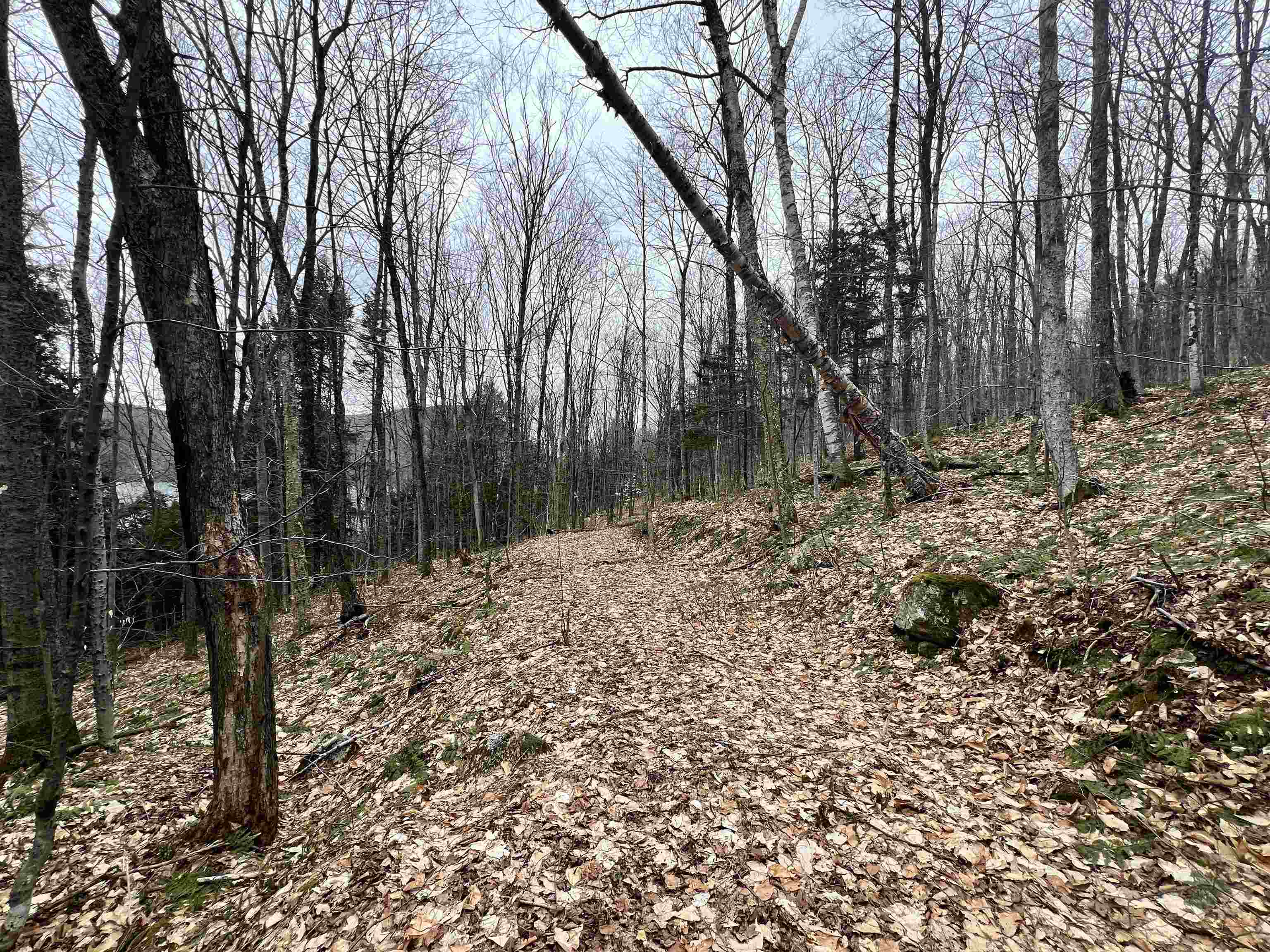 - Foliage Lane Orleans, VT 05860 - Photo 26 of 30