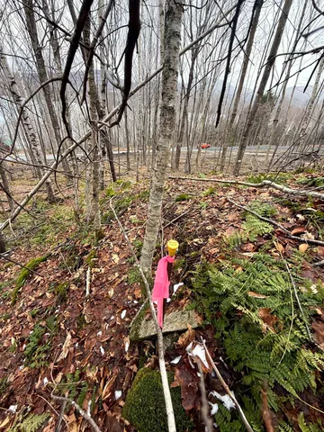 $249,900 | - Foliage Lane, Orleans, VT 05860