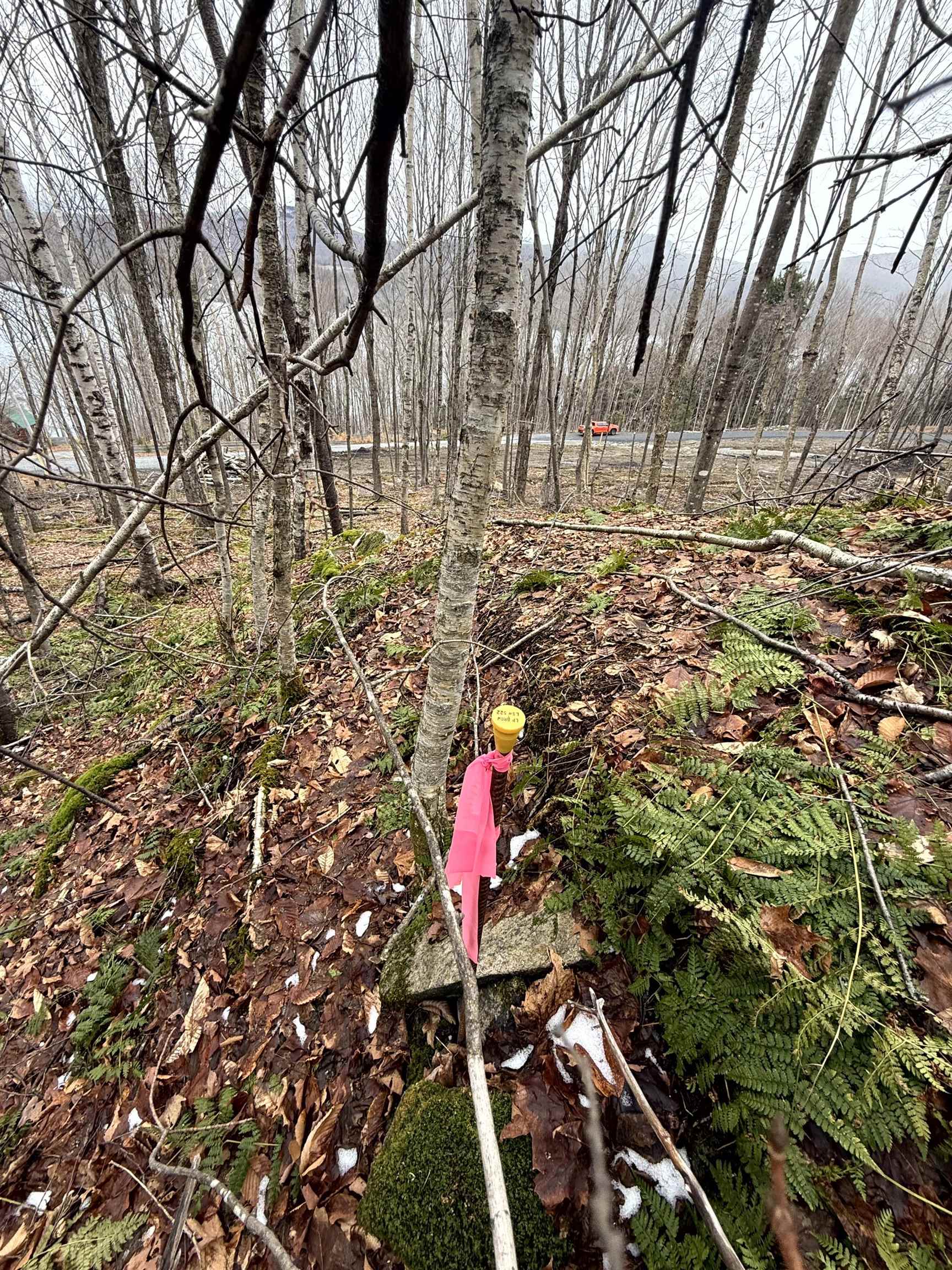 - Foliage Lane Orleans, VT 05860 - Photo 10 of 30