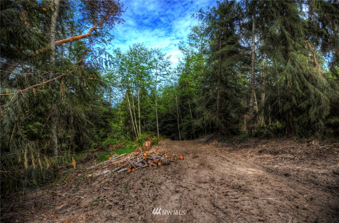 124 Bumpy Road Port Angeles, WA 98362 - Photo 2 of 4
