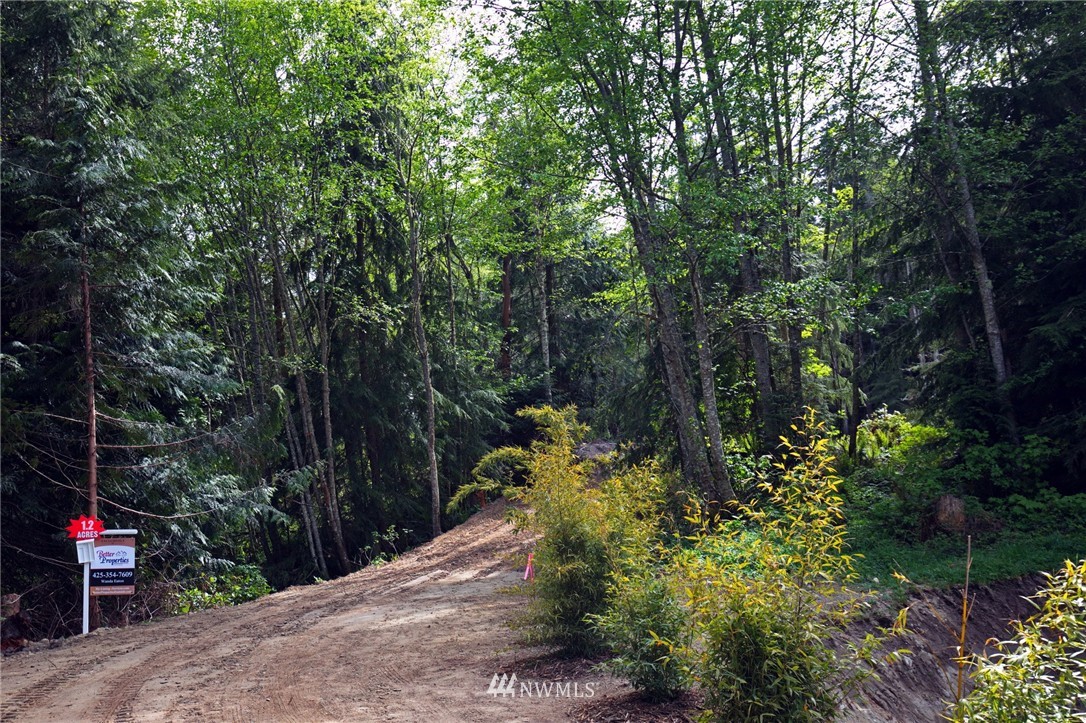 124 Bumpy Road Port Angeles, WA 98362 - Photo 3 of 4