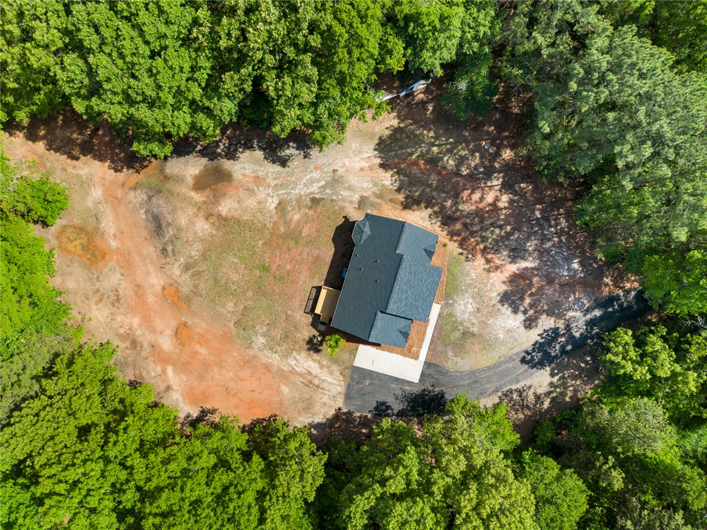 131 Lockaby Road Pelzer, SC 29669 - Photo 42 of 50 This newly built home is nestled among a lush, verdant landscape.