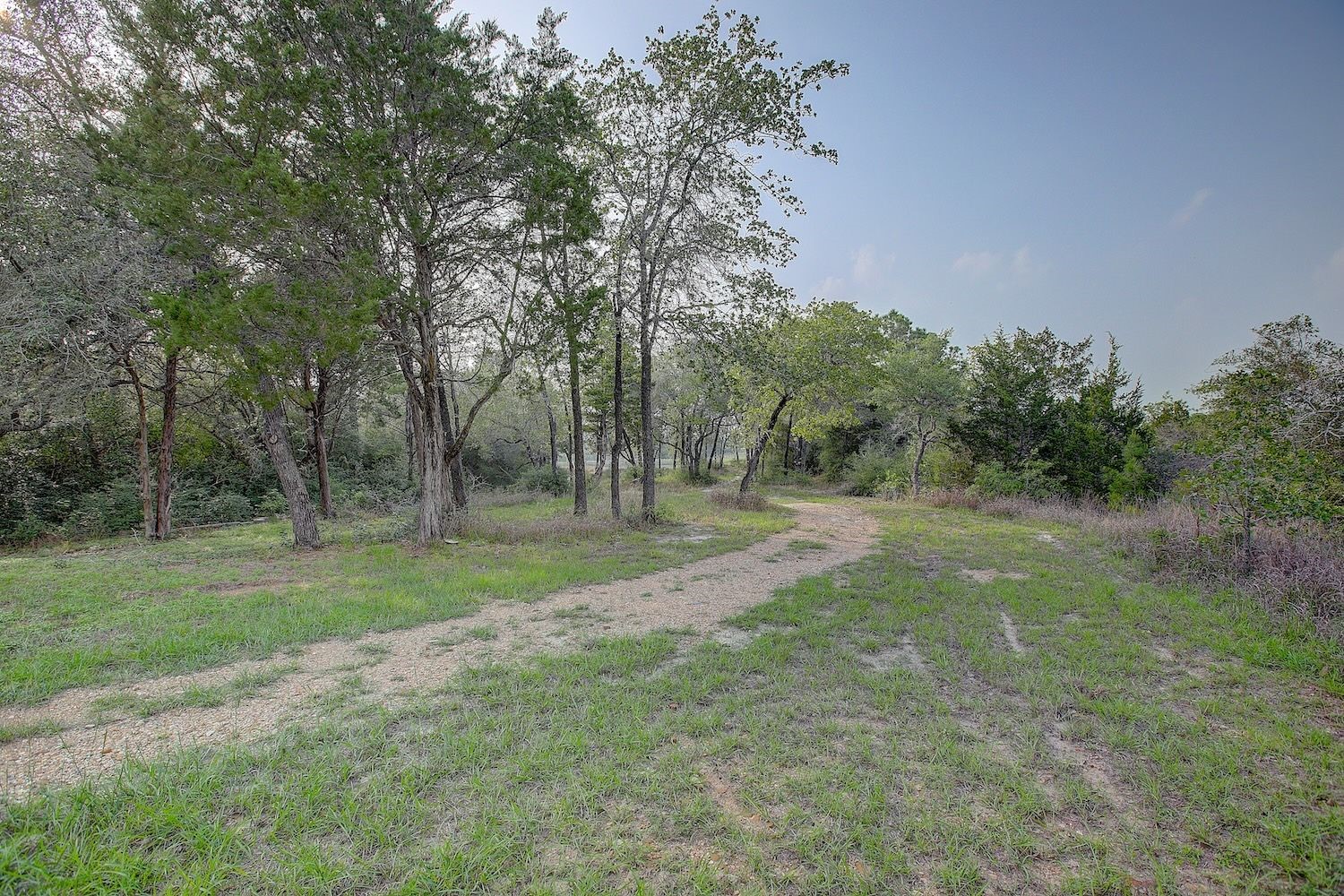 4540 Creamer Creek Road La Grange, TX 78945 - Photo 13 of 32 Roadway leading to the back portion of the acreage, with lots of trees and nature abounds.