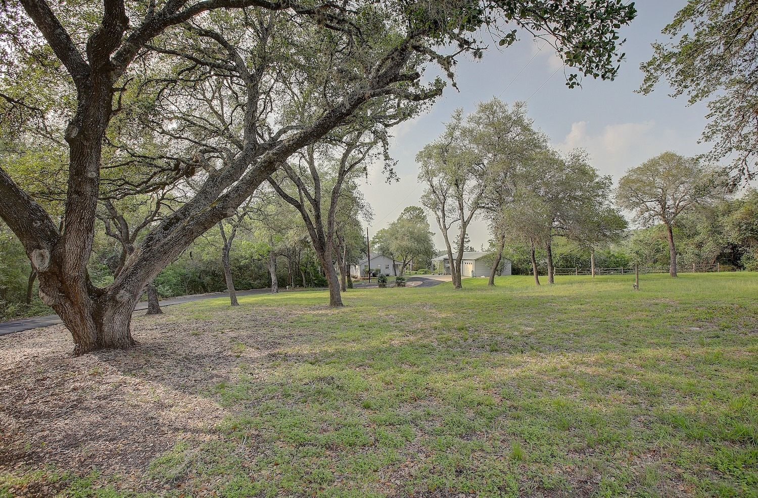 4540 Creamer Creek Road La Grange, TX 78945 - Photo 23 of 32 Front entryway grounds with numerous trees