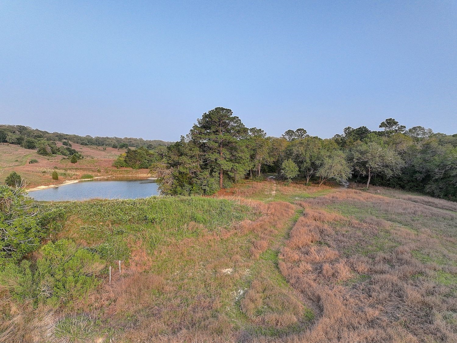 4540 Creamer Creek Road La Grange, TX 78945 - Photo 25 of 32 Standing at Pond 2 looking toward pond 1. A great area to build a custom home.
