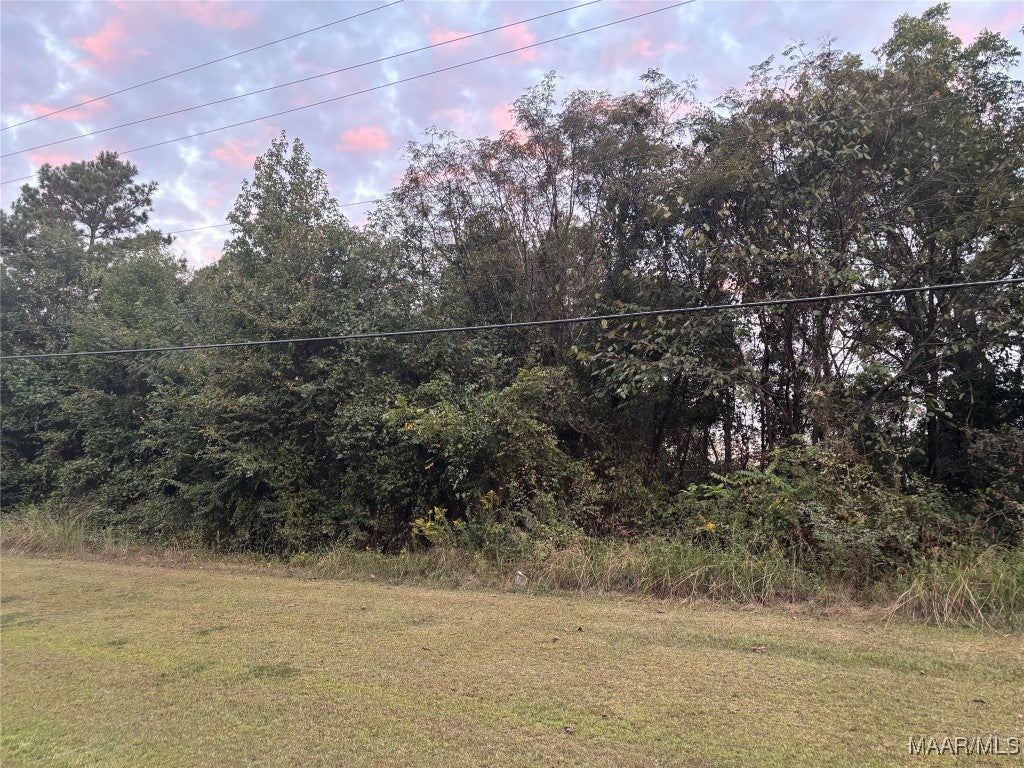 2075 County Road 81 Road Selma, AL 36703 - Photo 1 of 3 Gallery Image 1