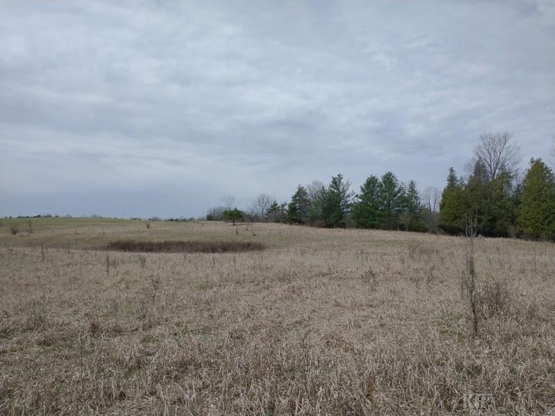 50-acres Sugar River Road Gladwin, MI 48624 - Photo 26 of 29