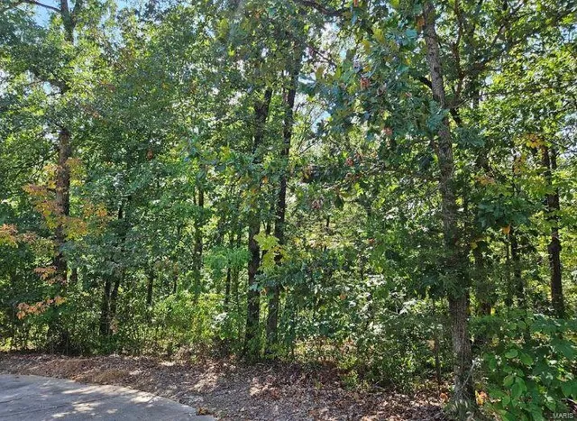 $28,500 | 0 Lot 12 Tarrant's Estates, Bowling Green, MO 63334
