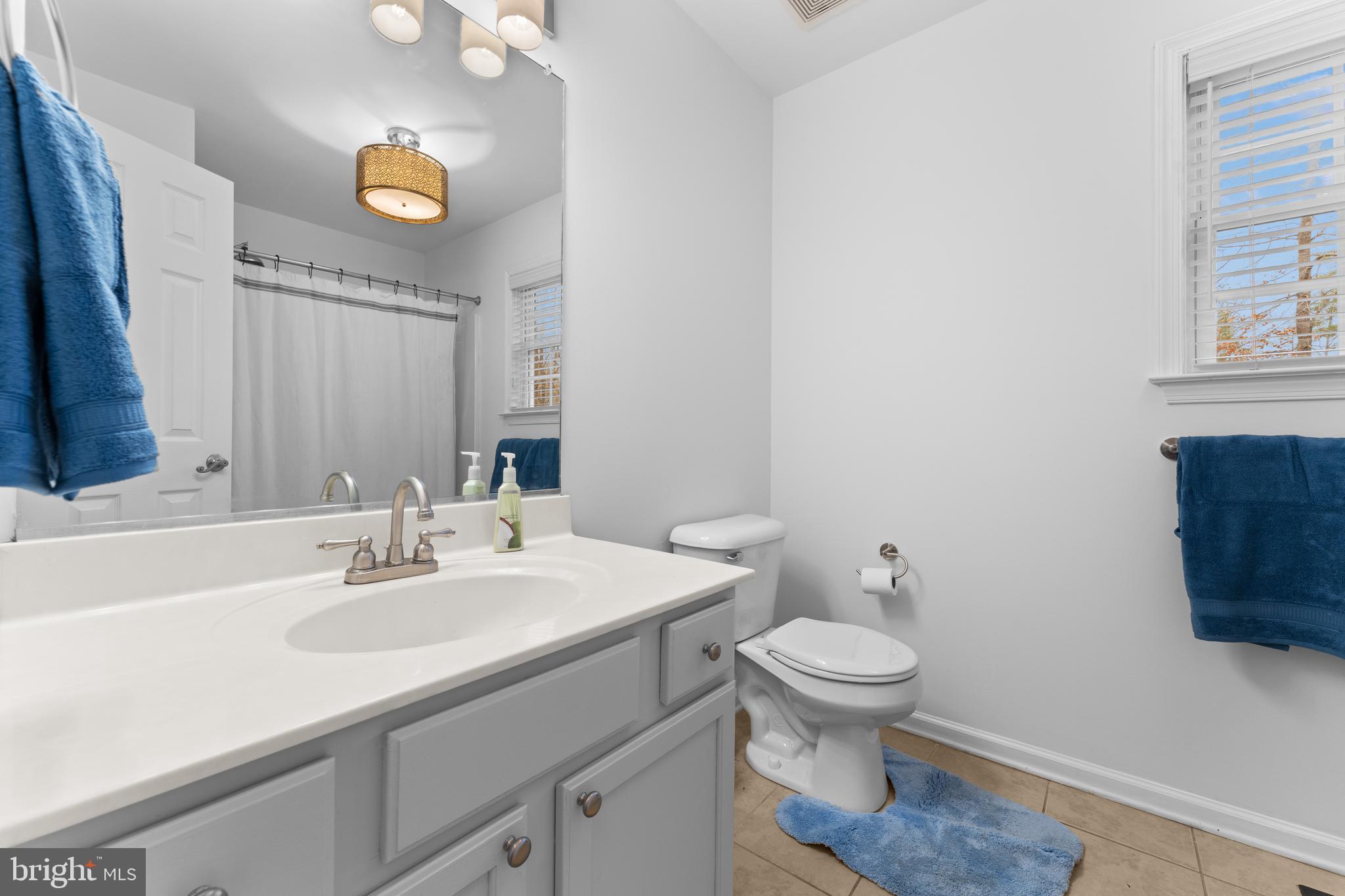 1522 Meander Run Road Locust Dale, VA 22948 - Photo 36 of 63 Hall bath