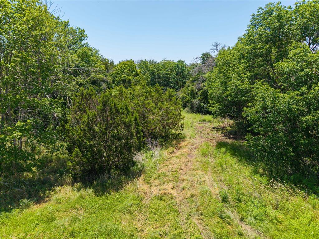 3885 County Road 522 Dublin, TX 76446 - Photo 15 of 30 a view of a yard