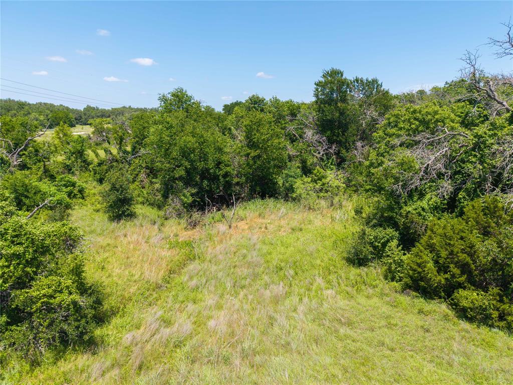 3885 County Road 522 Dublin, TX 76446 - Photo 17 of 30 a view of a big yard with large trees