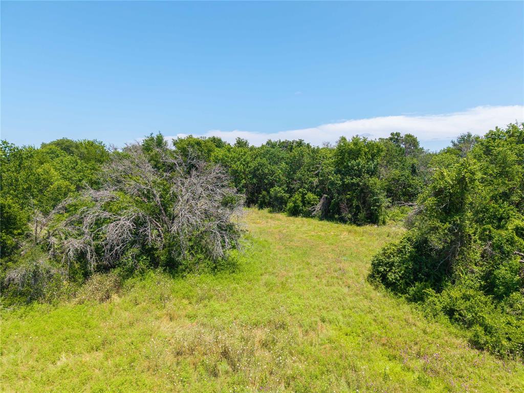 3885 County Road 522 Dublin, TX 76446 - Photo 24 of 30 a view of a yard with a tree