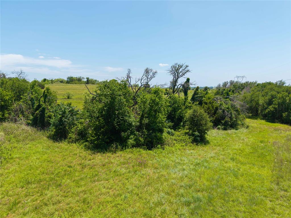 3885 County Road 522 Dublin, TX 76446 - Photo 25 of 30 a view of a big yard with large trees