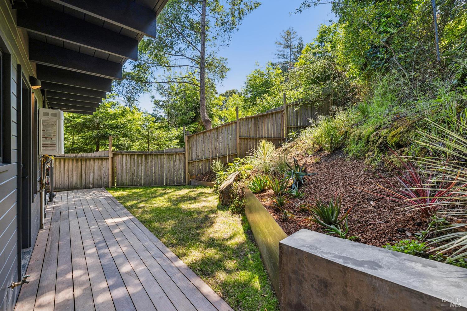 485 Scenic Road Fairfax, CA 94930 - Photo 42 of 75 a view of a backyard with plants