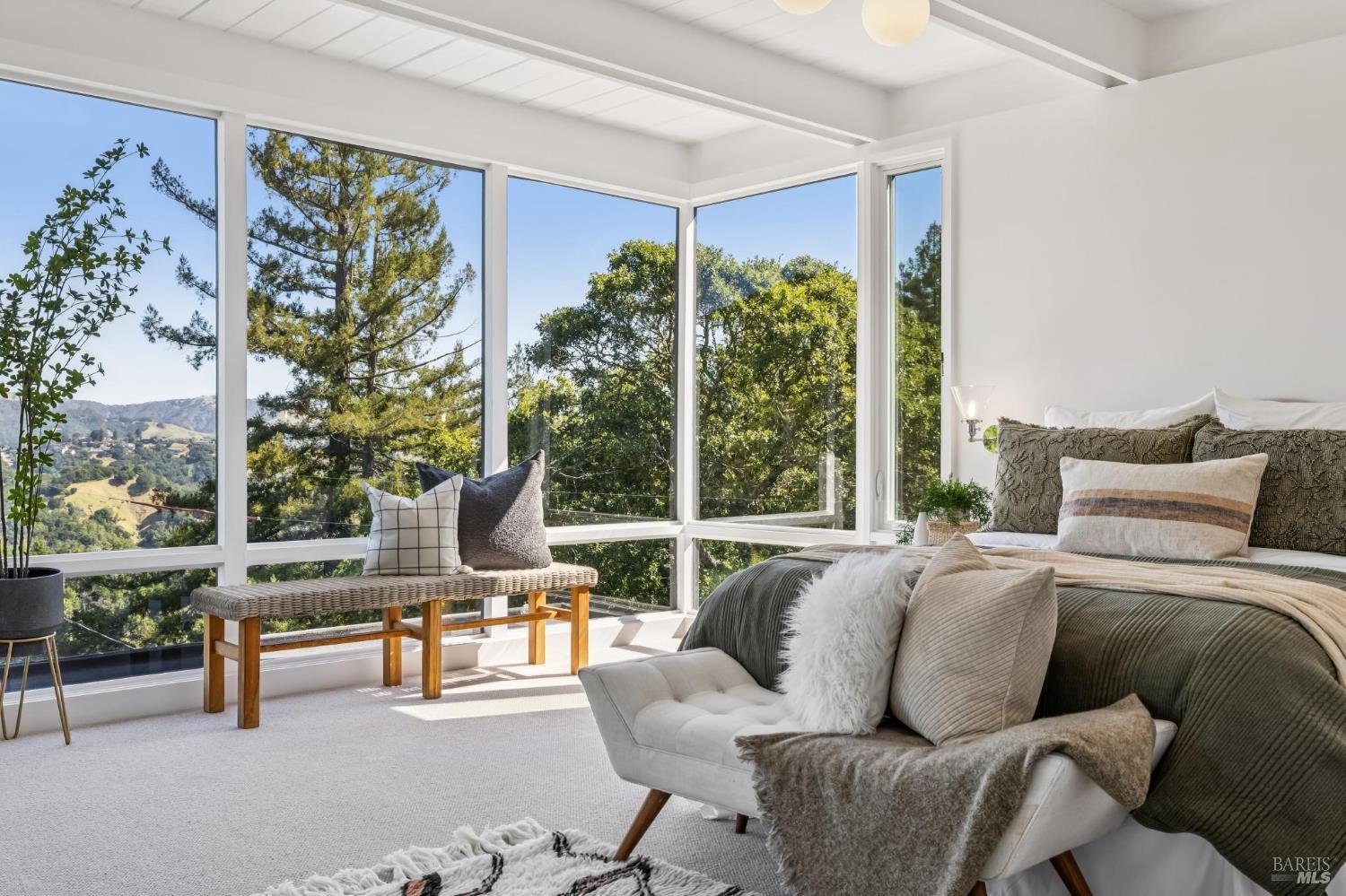 485 Scenic Road Fairfax, CA 94930 - Photo 47 of 75 a living room with furniture and a potted plant
