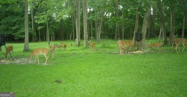 a view of house with a backyard