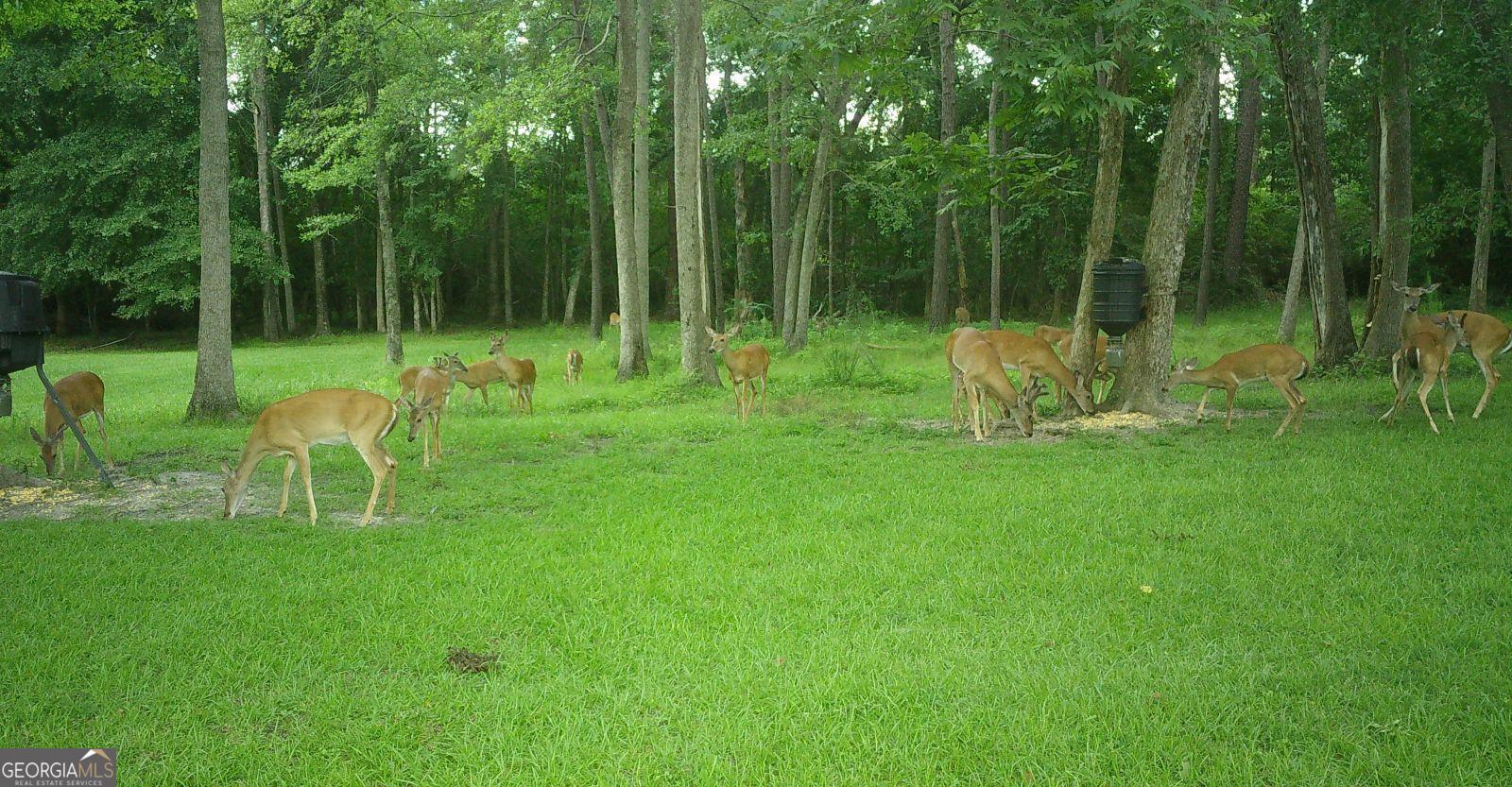5002 Addison Trail Statesboro, GA 30458 - Photo 35 of 35 a view of house with a backyard