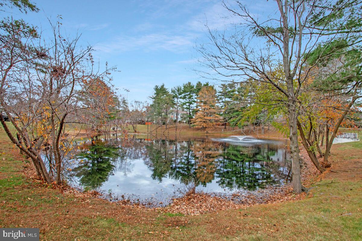1438 Orleans Court Crofton, MD 21114 - Photo 3 of 26 a view of a yard with plants and trees