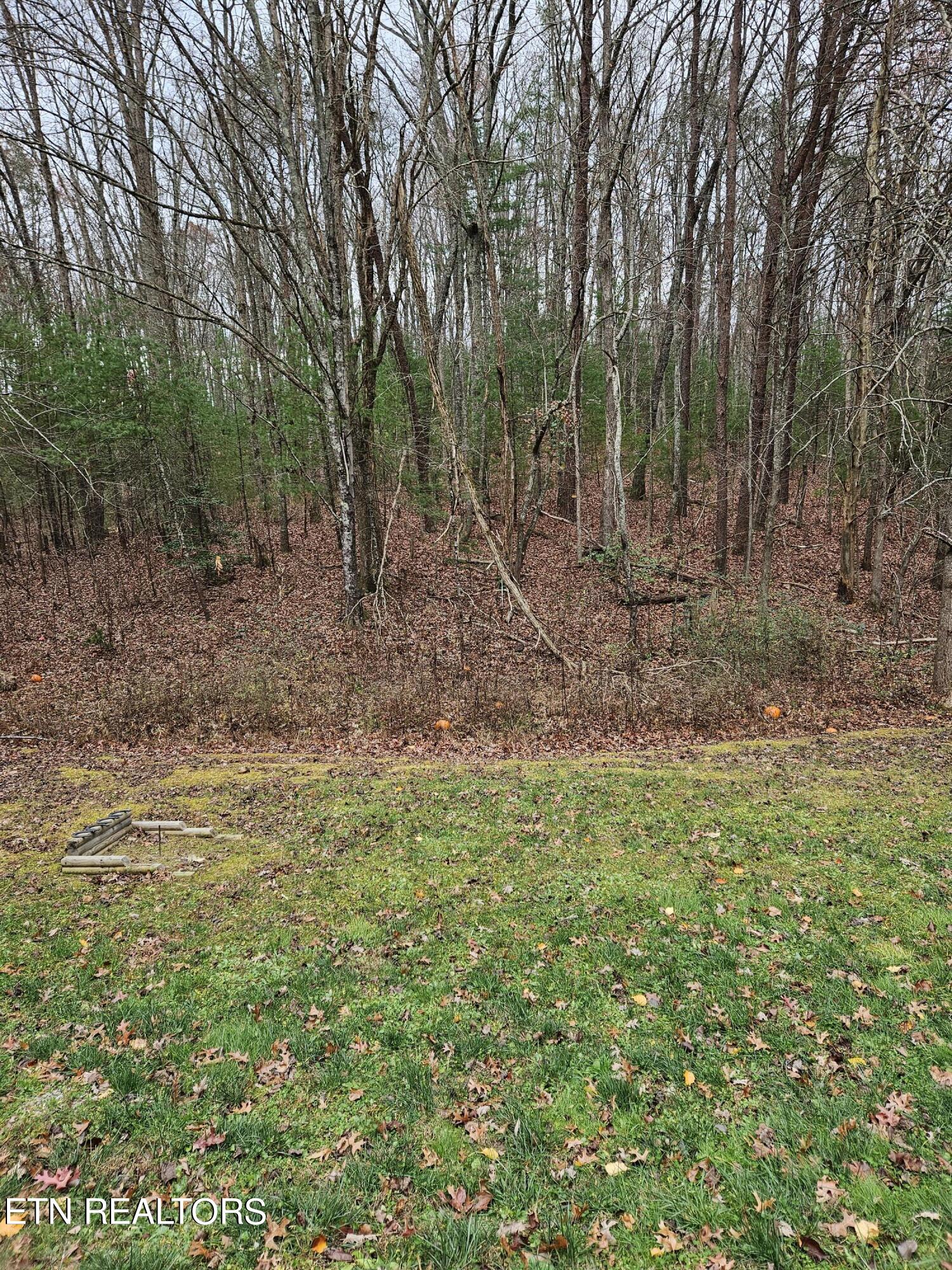 277 Fingerboard Road Tellico Plains, TN 37385 - Photo 13 of 41 20231126_115245