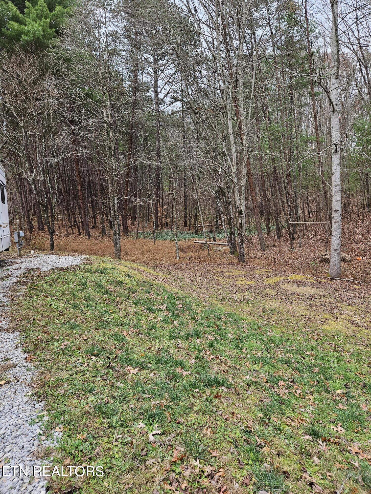 277 Fingerboard Road Tellico Plains, TN 37385 - Photo 14 of 41 20231126_115249
