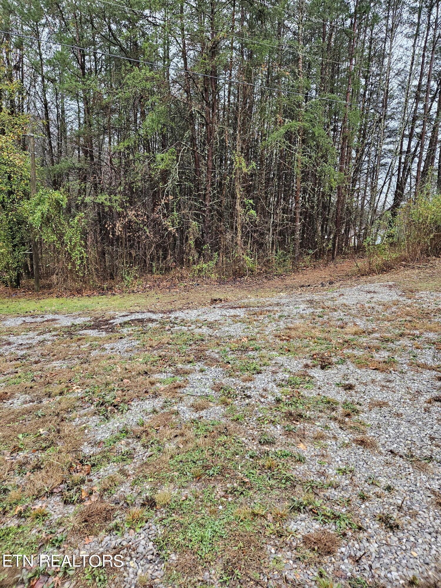 277 Fingerboard Road Tellico Plains, TN 37385 - Photo 23 of 41 20231201_132255