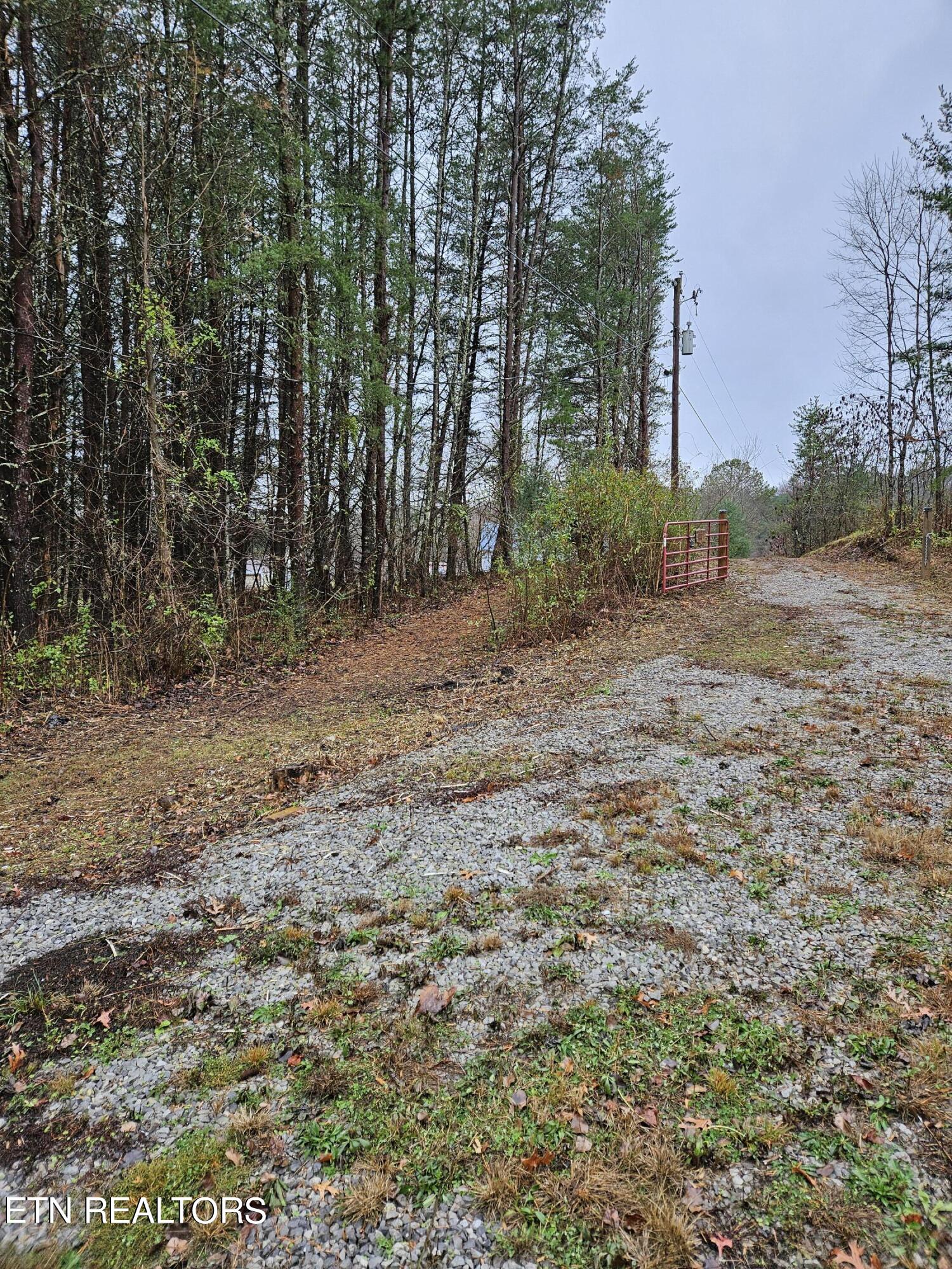 277 Fingerboard Road Tellico Plains, TN 37385 - Photo 24 of 41 20231201_132316