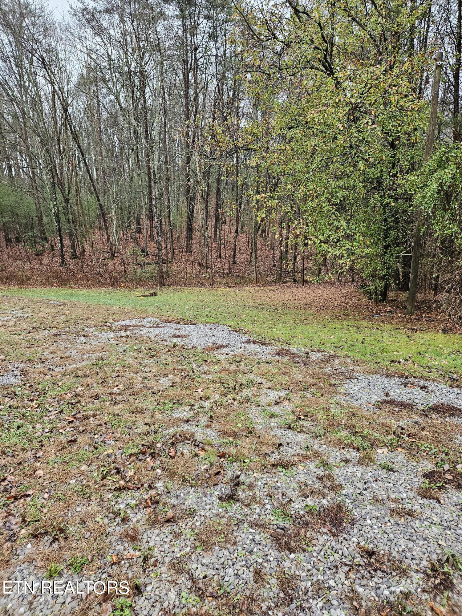 277 Fingerboard Road Tellico Plains, TN 37385 - Photo 25 of 41 20231201_132321