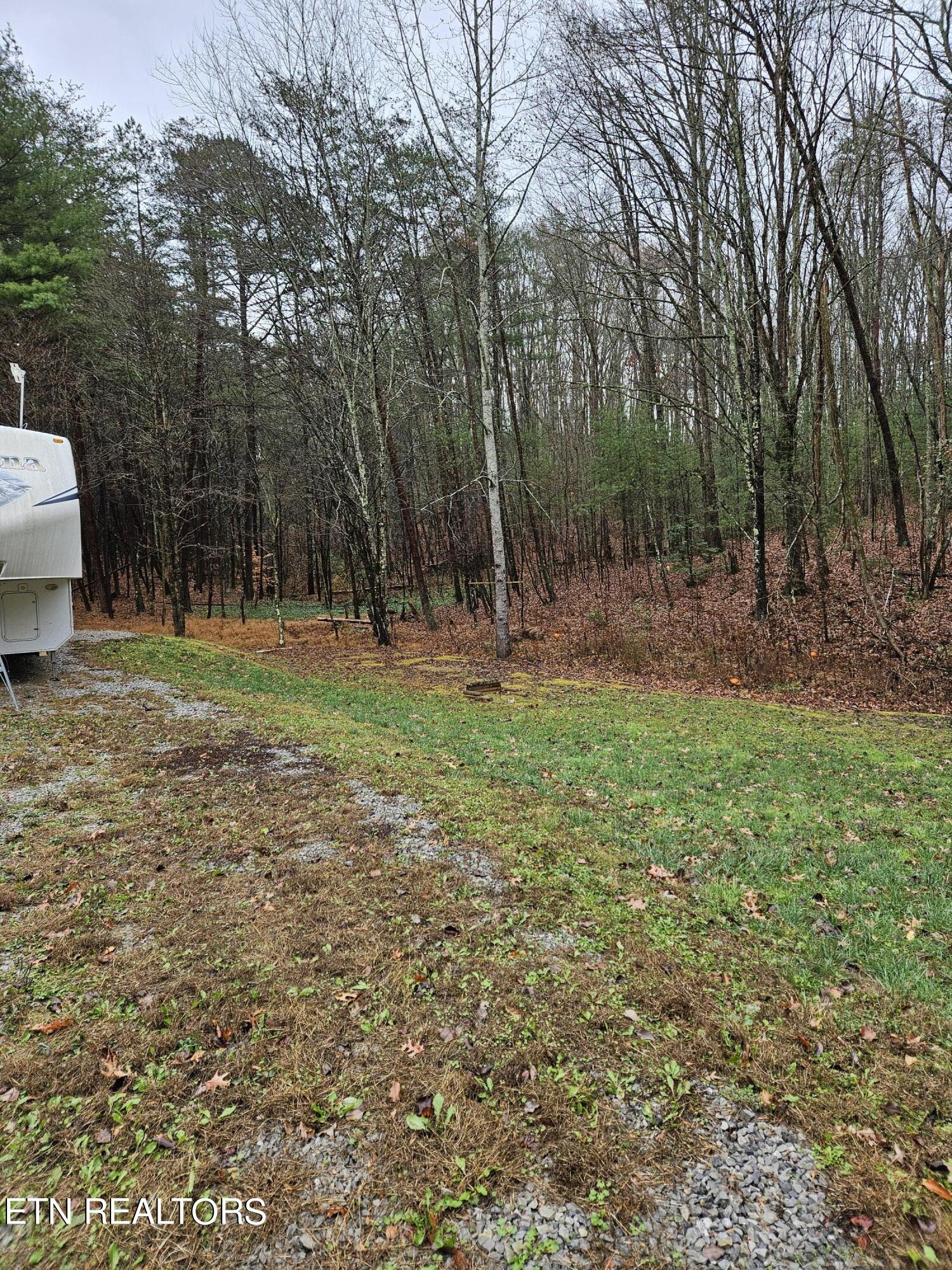 277 Fingerboard Road Tellico Plains, TN 37385 - Photo 29 of 41 20231201_132406