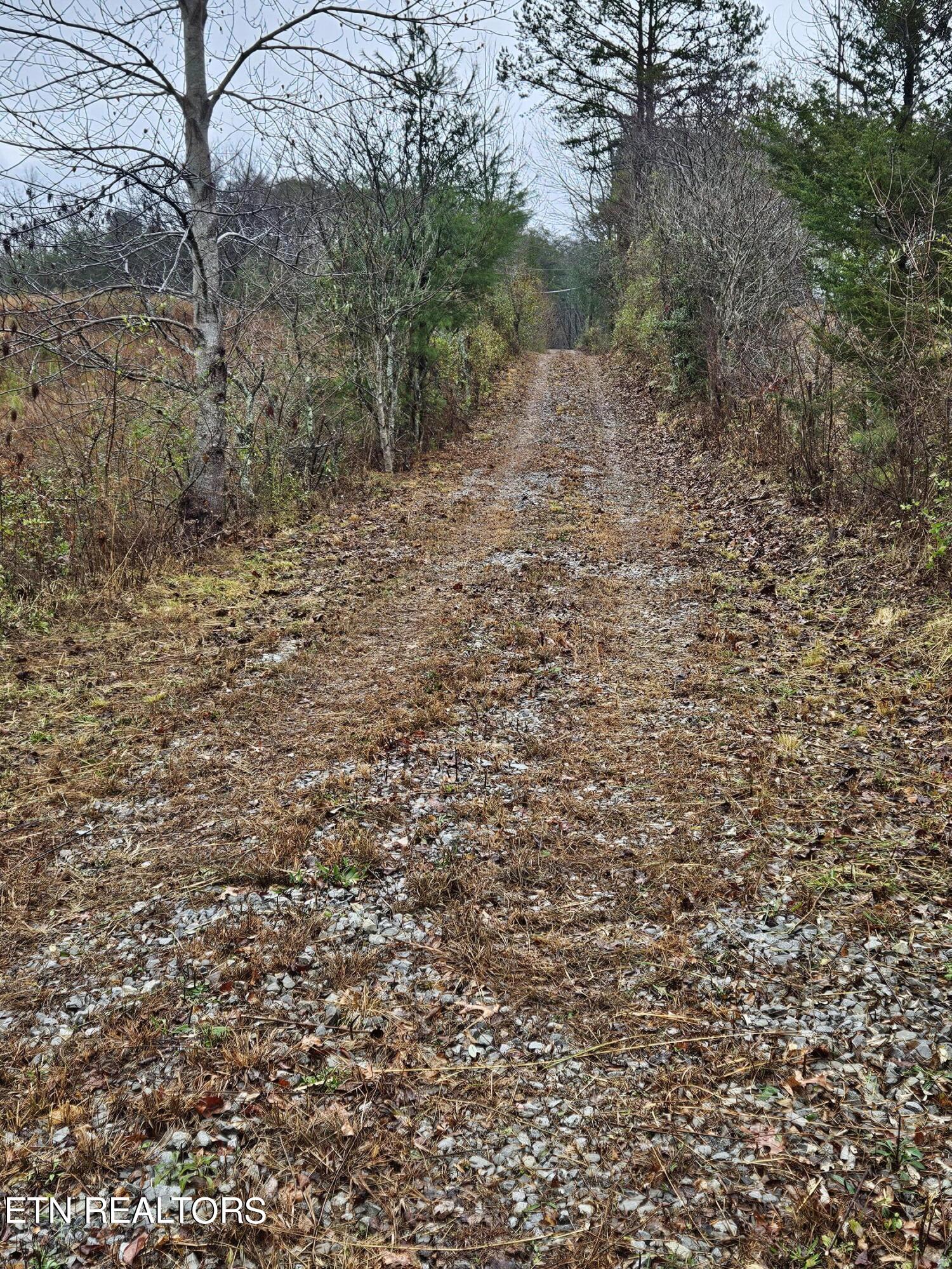 277 Fingerboard Road Tellico Plains, TN 37385 - Photo 39 of 41 20231201_133554