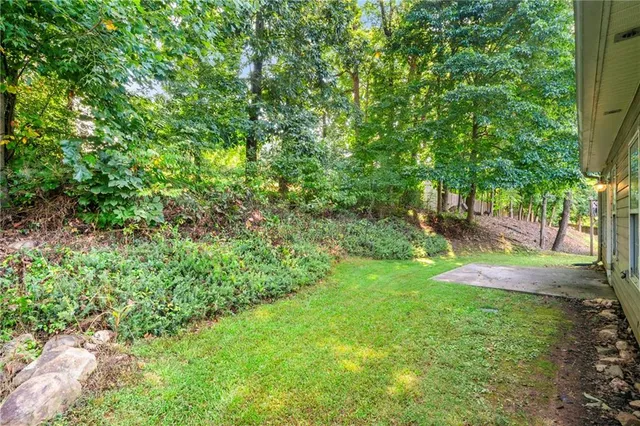 a view of yard with green space