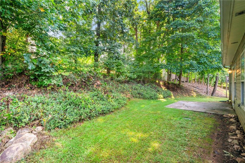 4317 Chesapeake Trace Acworth, GA 30101 - Photo 22 of 22 a view of yard with green space